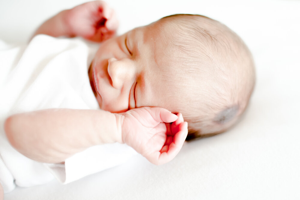 Oviedo Newborn Photos